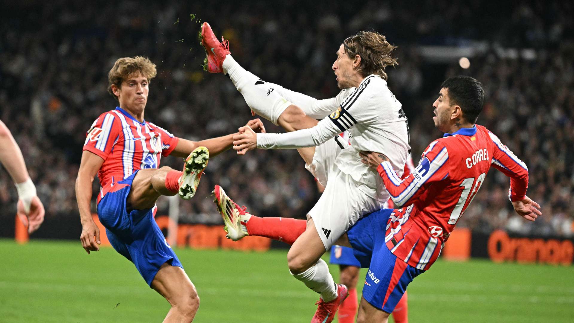 也应该提到 也应该提到